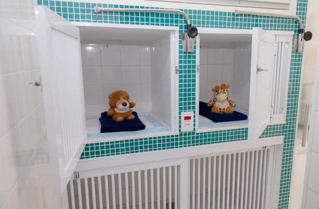 Área de internamento com cubículos individuais
